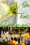 Gin Tonic Proeverij in Rotterdam